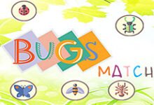 Bugs Match