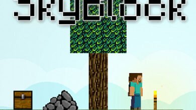 Skyblock Minecraft